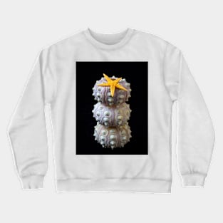 Starfish On Stacked Sea Urchins Crewneck Sweatshirt